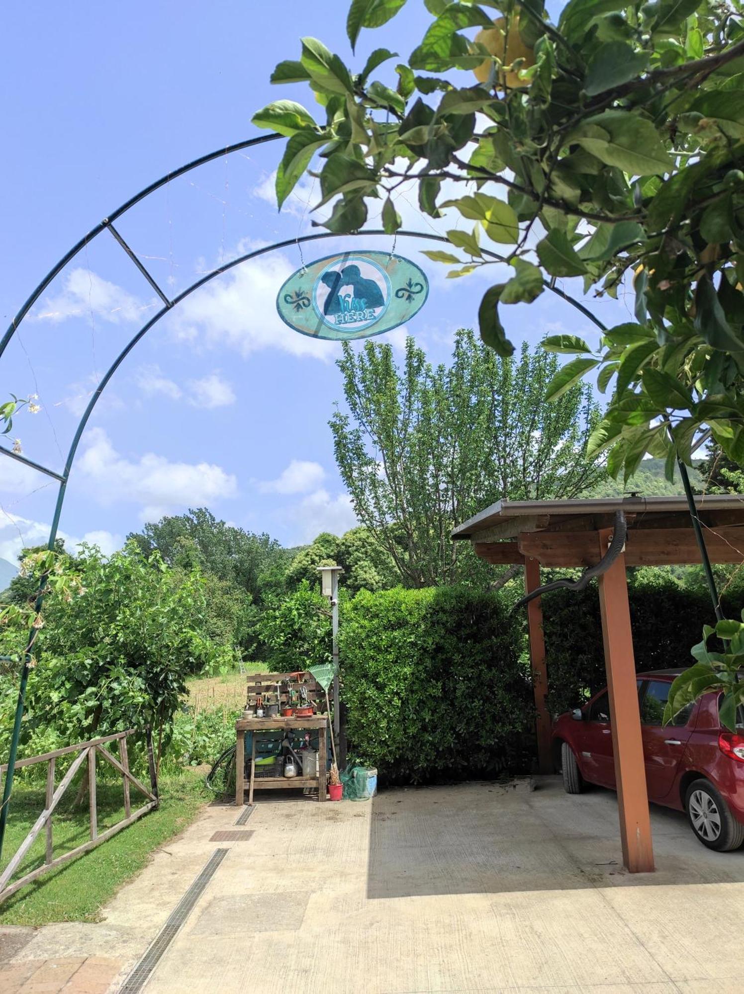 Caledonia B&B Mercato San Severino Exterior foto